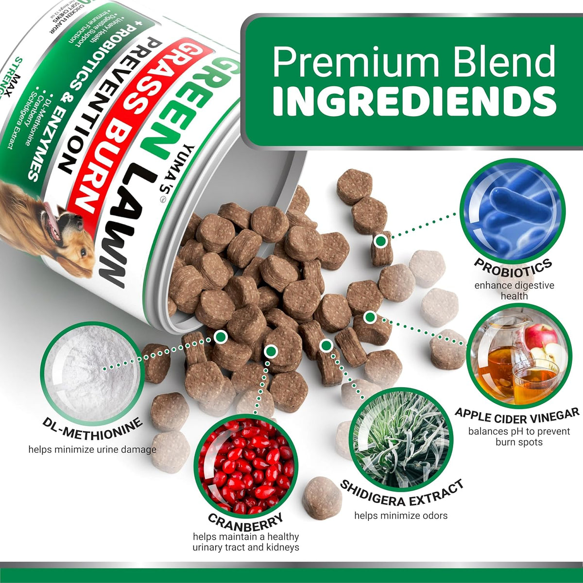 Dog Urine Neutralizer for Lawn - 170 Chews - Grass Green Saver Supplement