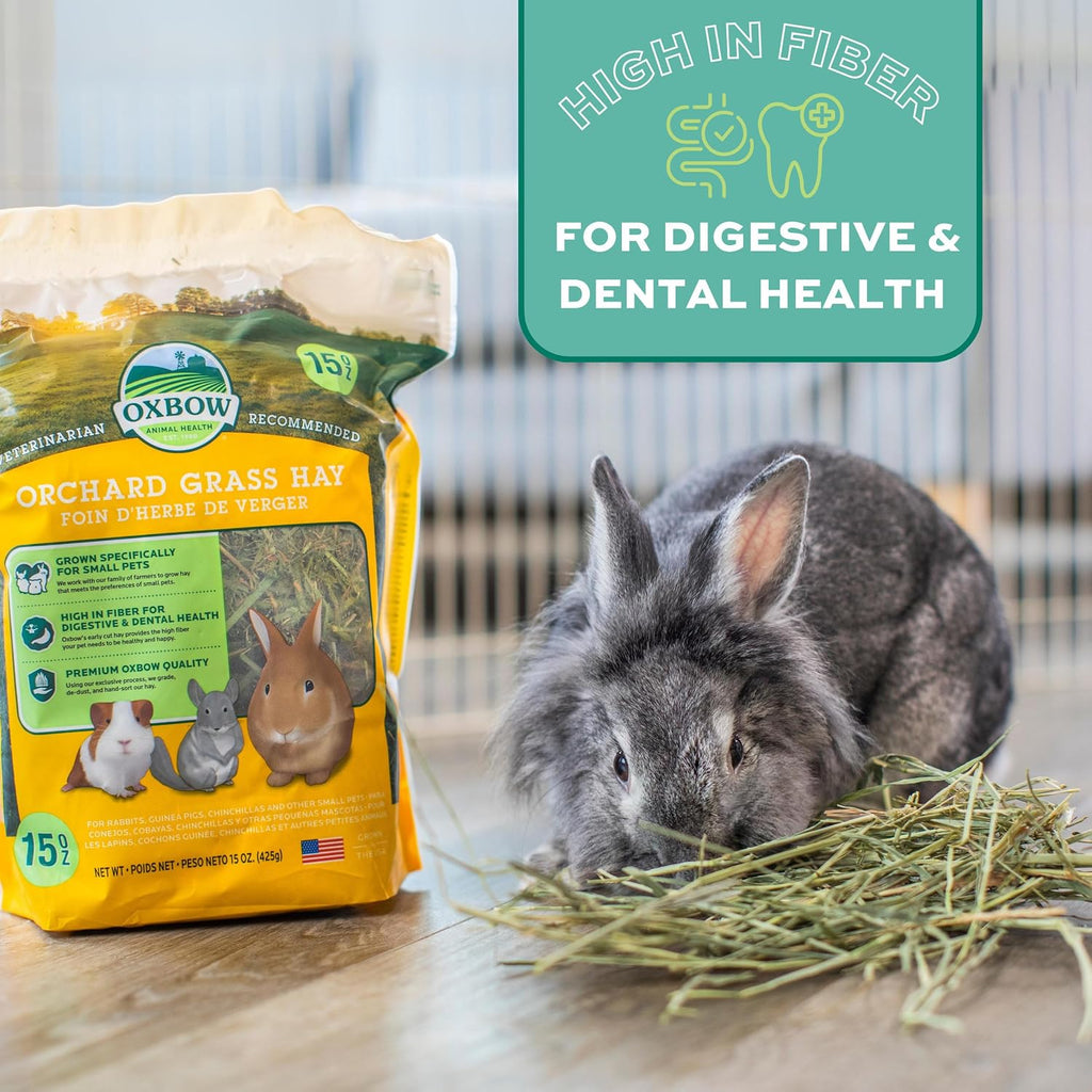 Oxbow Orchard Hay, Rabbit & Guinea Pig Hay, Hand-Sorted, De-Dusted, 40 oz