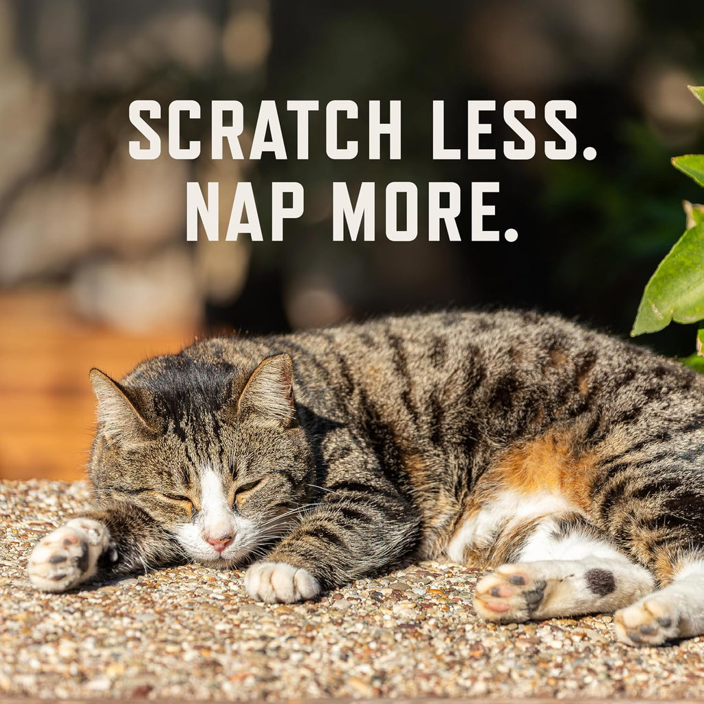 Rocco & Roxie Cat Seasonal Allergy Relief Chews, Probiotics & Fish Oil