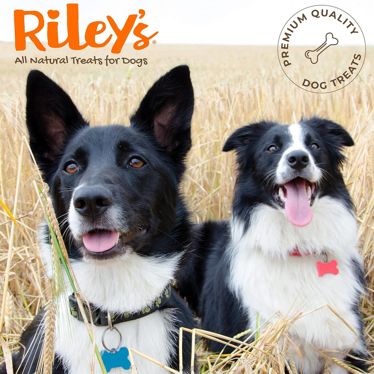 Riley's Pill Wrap for Dogs - Cheese & Bacon Pill Paste for Dogs - 4.2oz
