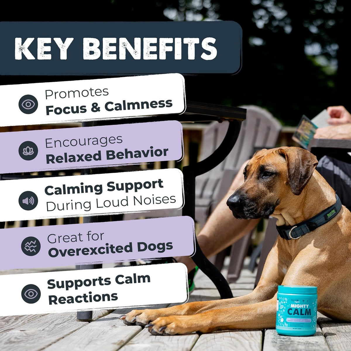 Mighty Paw Calming Chews for Dogs with Melatonin, Waggables, 120 Count