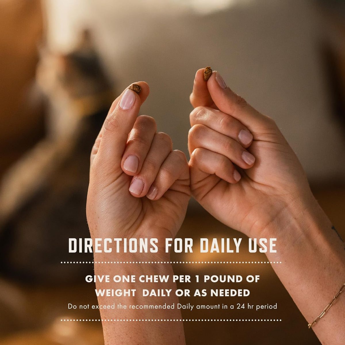 Rocco & Roxie Cat Probiotics, Digestive & Gut Health Chews