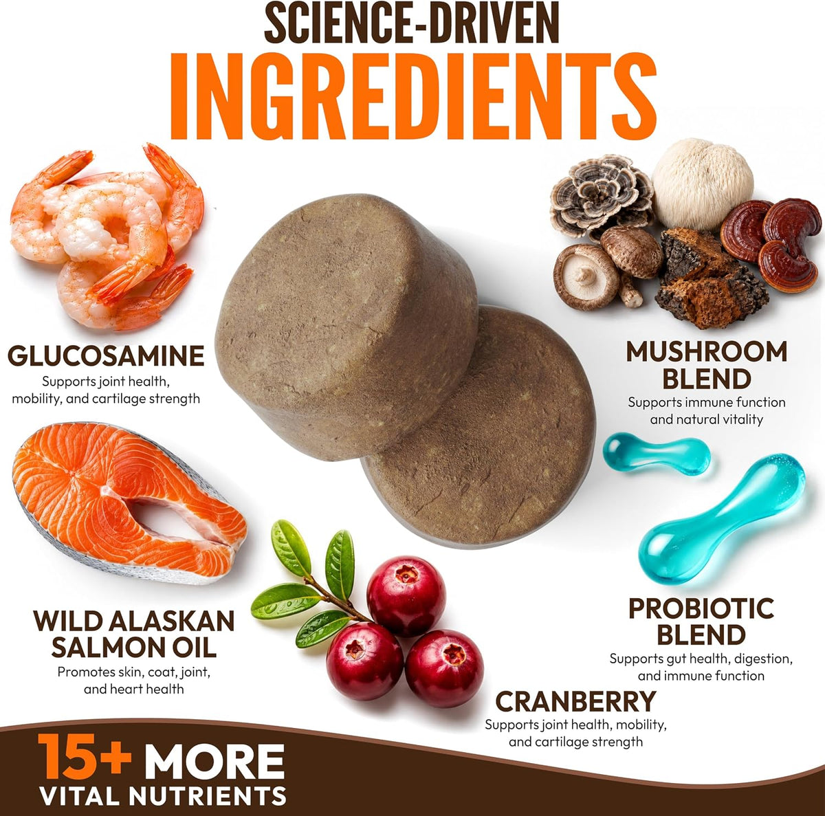 Turkey Tail Mushroom for Dogs - 170 Chews - Lion's Mane, Shiitake & Reishi