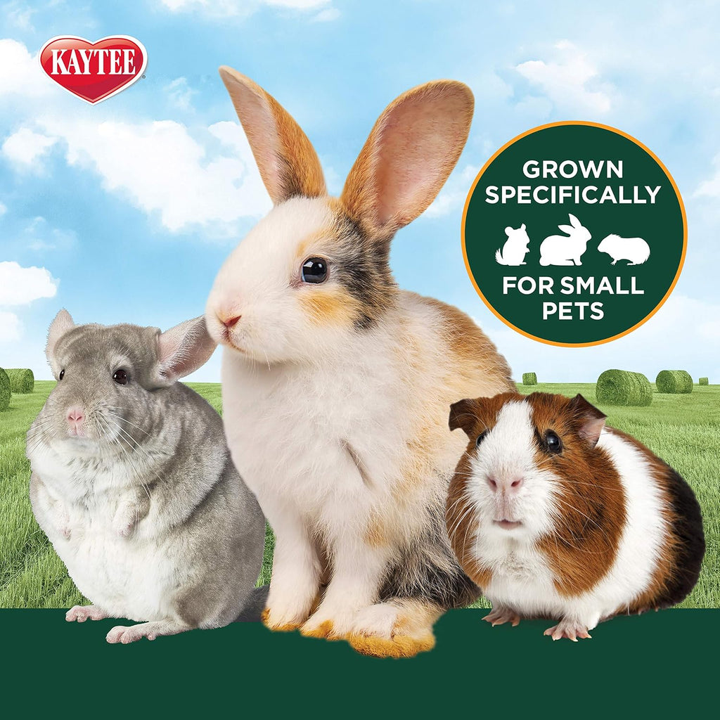 Kaytee Alfalfa Mini Bales, Guinea Pig Hay, 24 Ounces