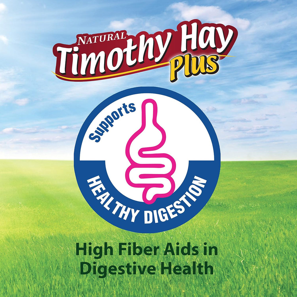 Kaytee All Natural Timothy Hay Plus Carrots for Guinea Pig & Rabbit