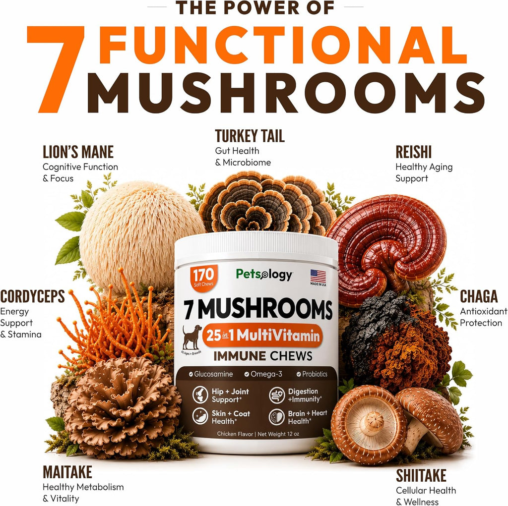 Turkey Tail Mushroom for Dogs - 170 Chews - Lion's Mane, Shiitake & Reishi