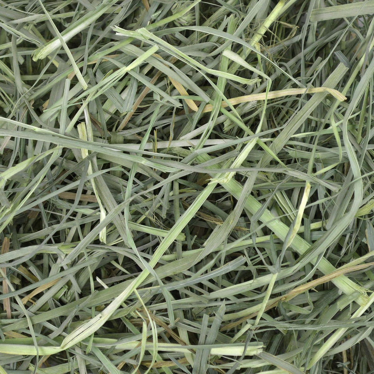 Oxbow Orchard Hay, Rabbit & Guinea Pig Hay, Hand-Sorted, De-Dusted, 40 oz