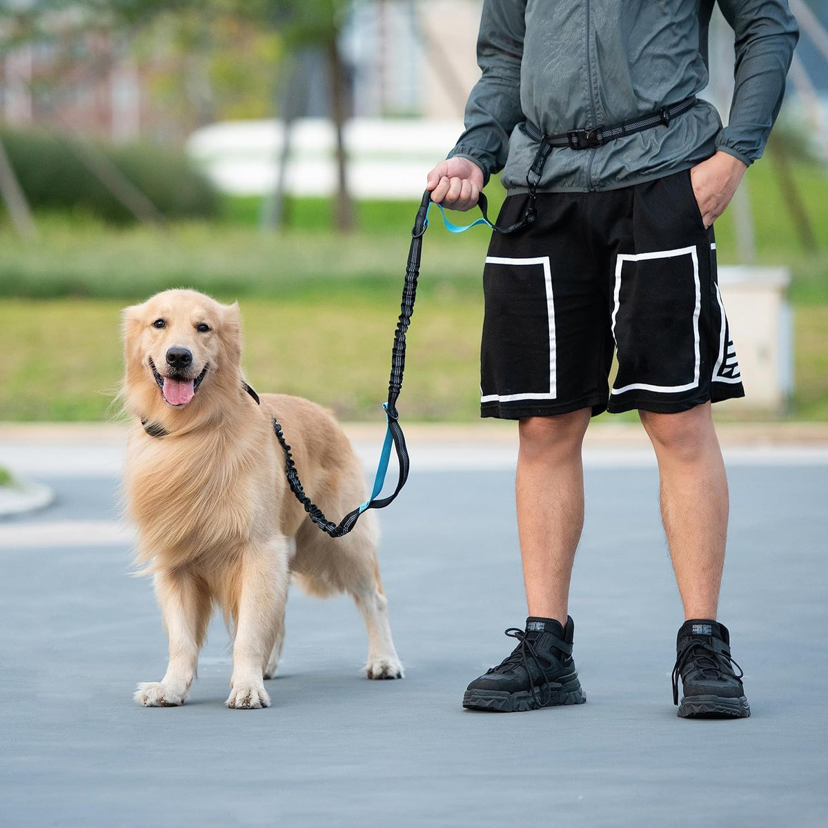 iYoShop Hands Free Dog Leash with Zipper Pouch, Large, 25-120 lbs, Black