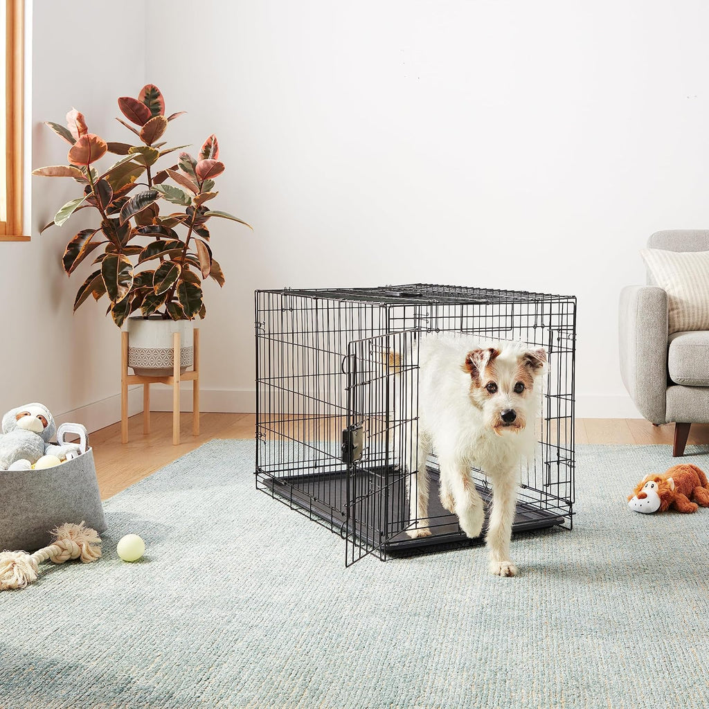 Amazon Basics Portable Metal Wire Dog Crate with Removable Tray, Single Door with Divider Panel, Foldable, Collapsible, Easy to Assemble & Clean, 36" x 23" x 25", Black