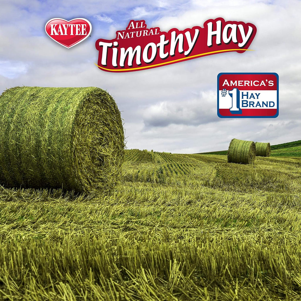 Kaytee All Natural Timothy Hay Plus Carrots for Guinea Pig & Rabbit