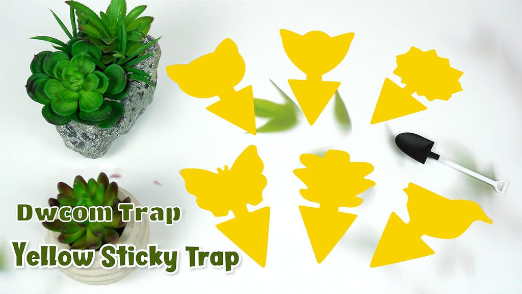 40 Pack Fungus Gnat Traps, Yellow Sticky Fruit Fly Traps for Indoor Plants