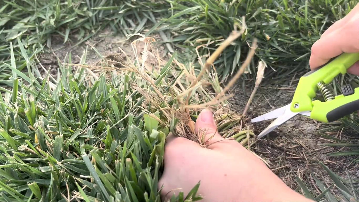 4 Pack Pruning Shears 6.5 Inch Stainless Steel Garden Scissors