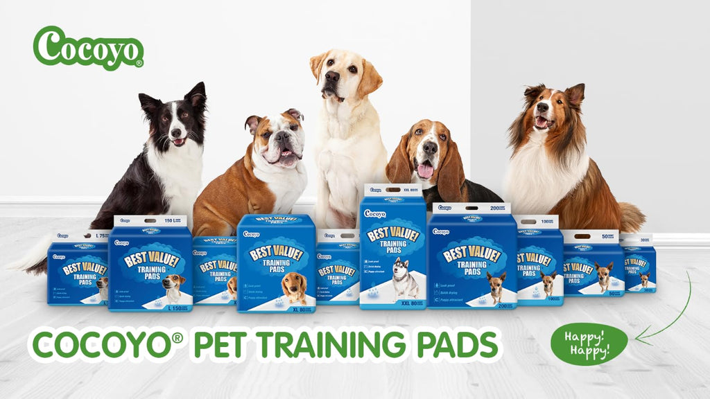 COCOYO Best Value Training Pads 30 Count | Dog Pee Pads | Super Absorbent Puppy Pads