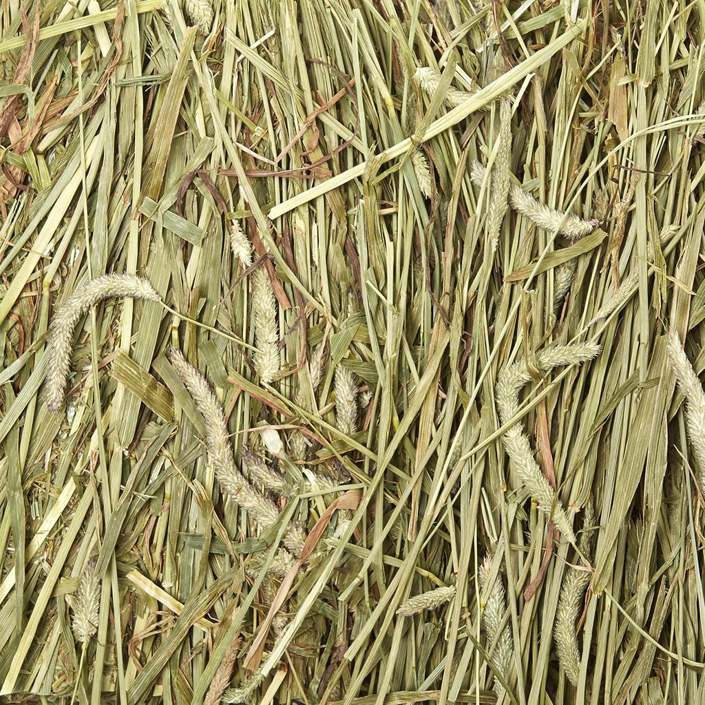 Kaytee Wafer Cut Timothy Hay for Rabbit & Guinea Pigs, 60 Ounce
