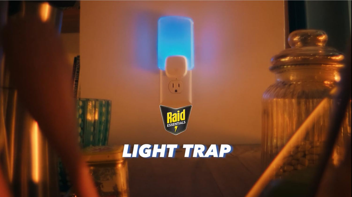 Raid Essentials Flying Insect Light Trap Refills, 2 Light Trap Refill Cartridges, Featuring Light Powered Attraction