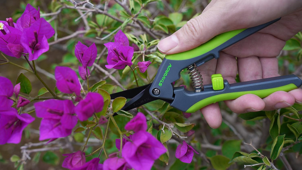 2pcs 6.5" Pruning Shears for Gardening Ultra Sharp Garden Scissors