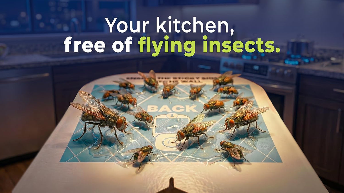 VEYOFLY Fruit Fly Traps Indoor Plug-in UV, Gnat Trap, 2 Device + 4 Refills