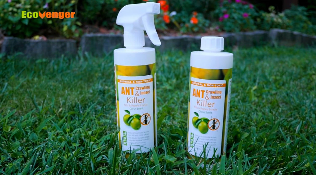 EcoVenger® Ant and Insect Killer 16 oz | Citrus Scent | Fast Kills House Ants Fire Ants | Residual Deterrence | Plant-Based Child and Pet Safe