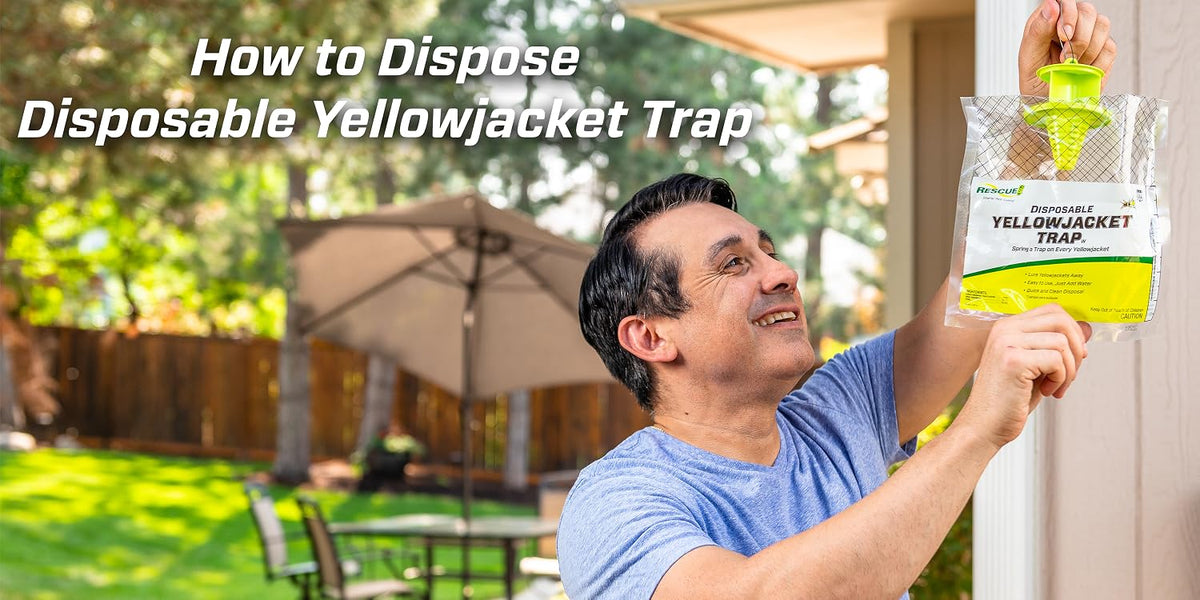 RESCUE! Disposable Summer Yellowjacket Trap - Mountain & Pacific Formula - 6 Traps